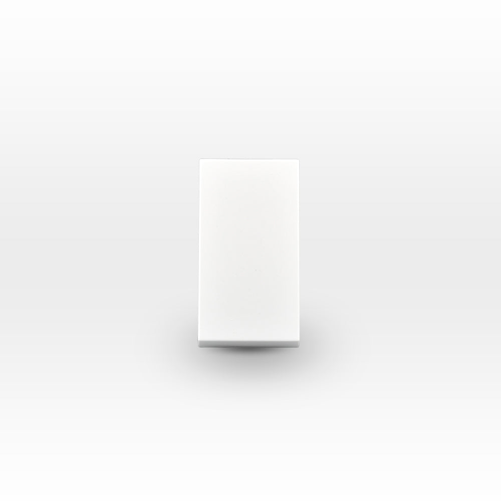 MÓDULO INTERRUPTOR 9/12 10A 250V BLANCO