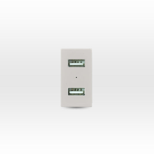 MÓDULO TOMA USB 5V C.C. 1100MA BEIGE