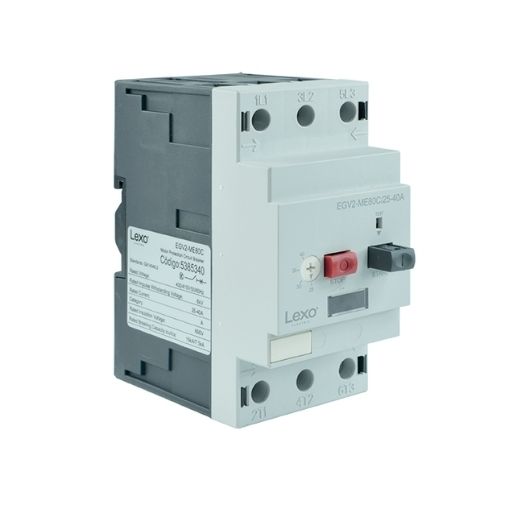 Guardamotor M22 45-63A